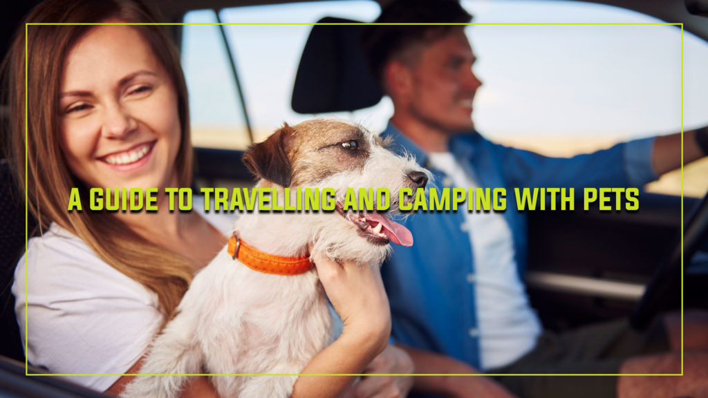 A Guide to Travelling and Camping with Pets