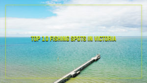 Top 10 Fishing Spots in Victoria