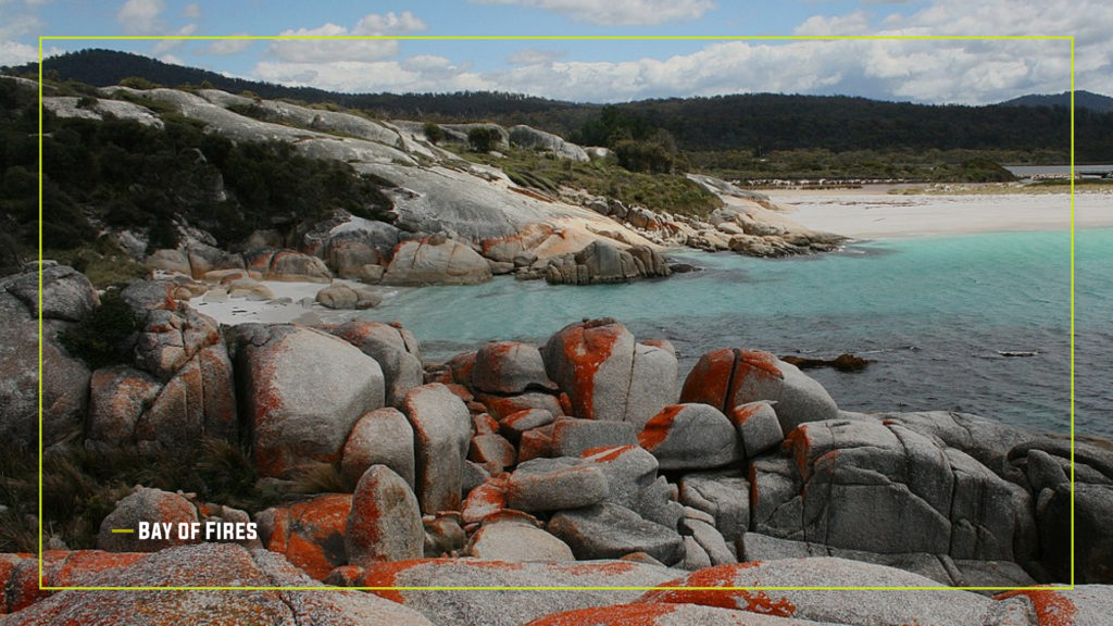 Bay of Fires Campsite