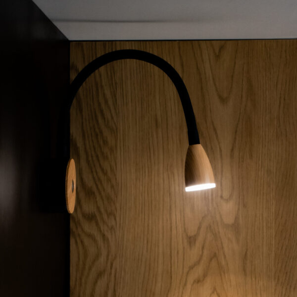 FLEXIBLE ARM READING LIGHT